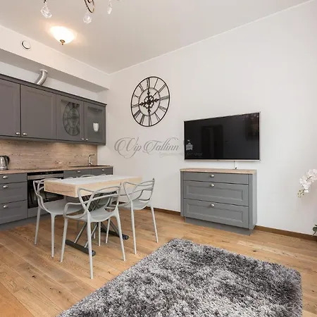 Vip Rotermanni شقة