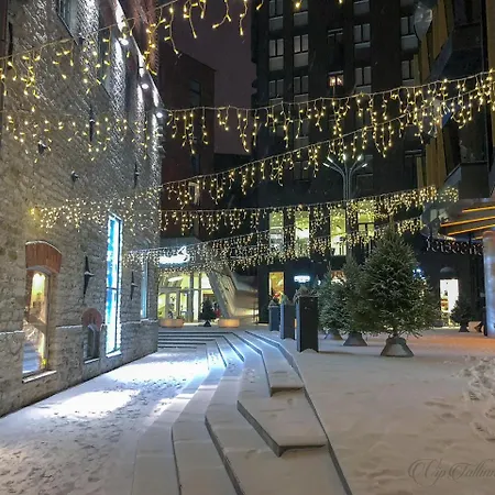 Vip Rotermanni شقة تالين