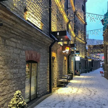 Vip Rotermanni Appartement Tallinn