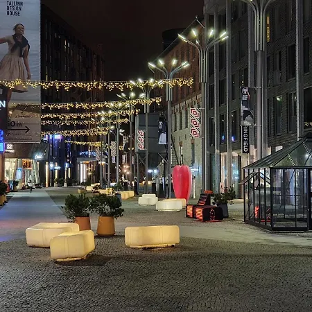 Vip Rotermanni تالين