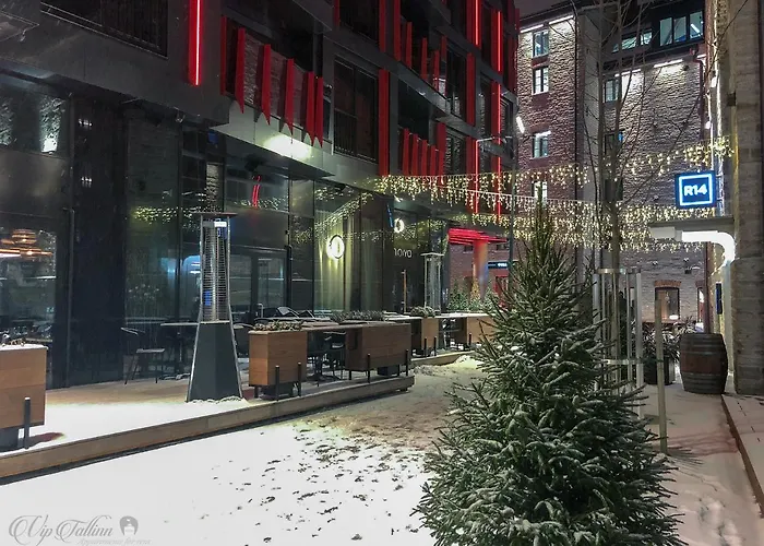 Apartment Vip Rotermanni *