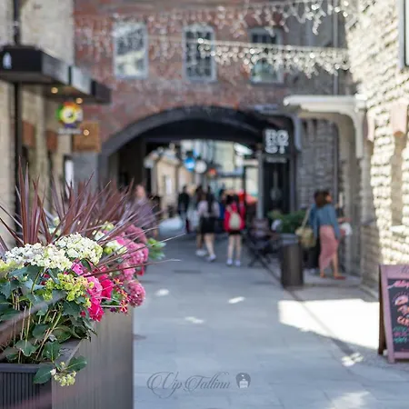 Vip Rotermanni דירה *