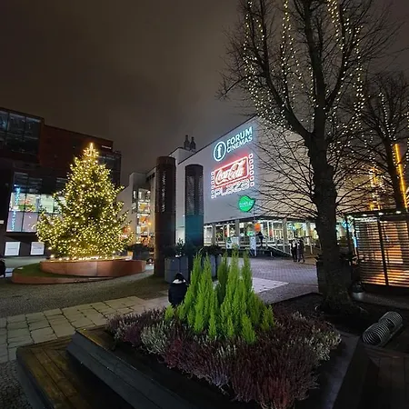 דירה Vip Rotermanni *