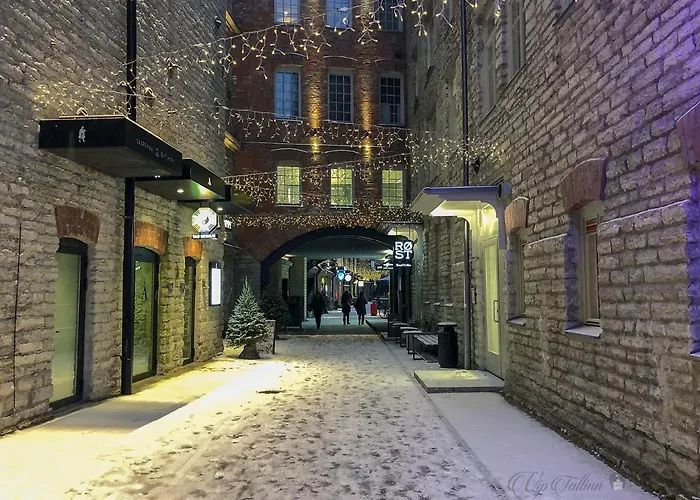 Vip Rotermanni * タリン