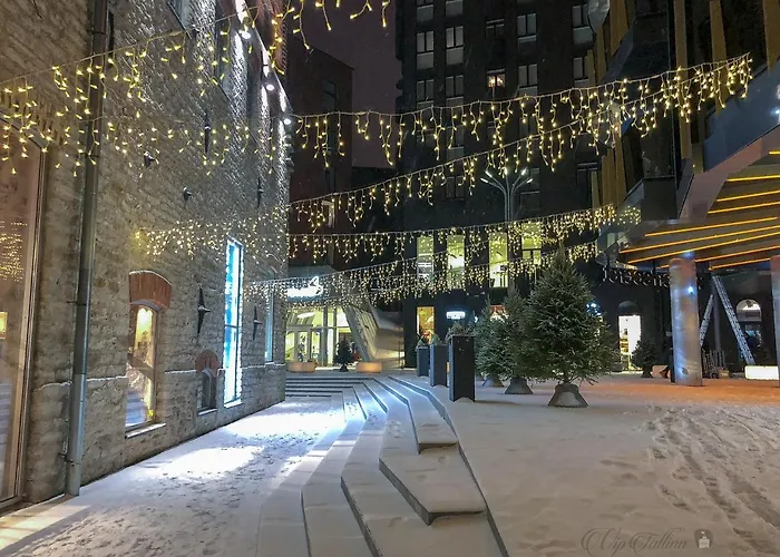 Vip Rotermanni アパート タリン