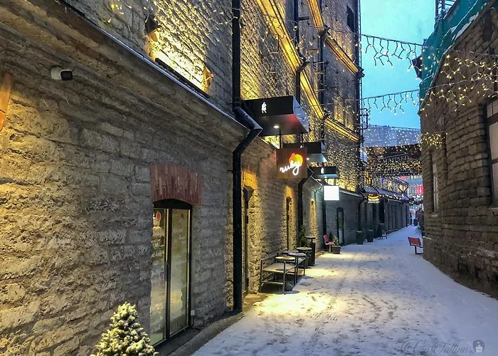 Vip Rotermanni アパート タリン