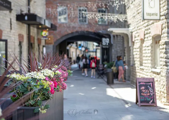 Vip Rotermanni アパート *